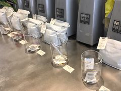 -Seesaw Coffee(上生新所店)