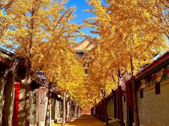 -大明幻境第一城