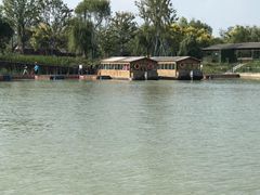 -泗洪洪泽湖湿地景区
