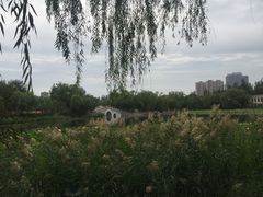 -青城公园