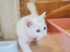 -Pets First伊珊娜洗护·精致美容·家庭式寄养(新会路店)