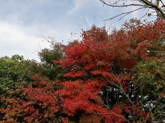 -缥缈峰景区