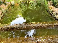 -成都市活水公园