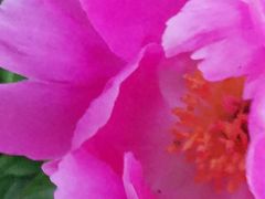 -长春公园(普阳街道)