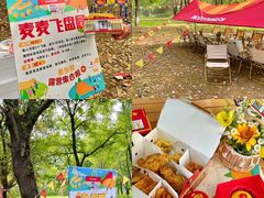 -长白岛森林公园