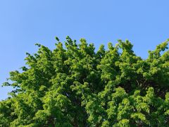 -长乐南山公园