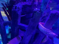 -沈阳海洋探索中心