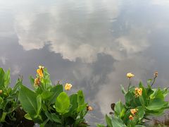 -重庆彩云湖湿地公园