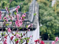 -乌山风景区