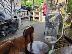 -樂桃源奉贤黄桃种植采摘基地