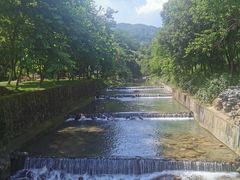 -广州白江湖森林公园