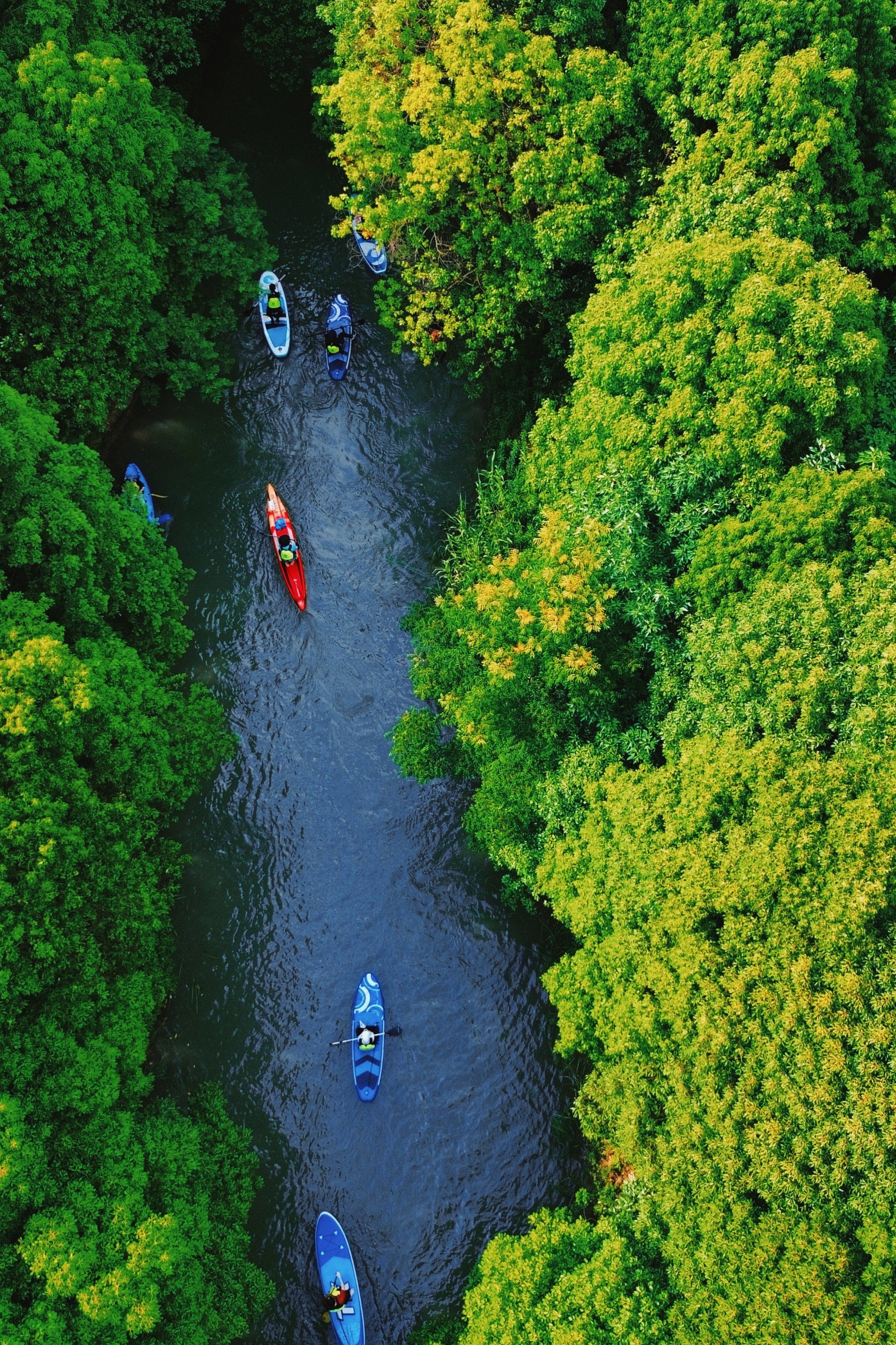 皮划艇桨板美照,送你当壁纸啦