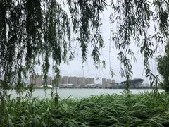-高子水居