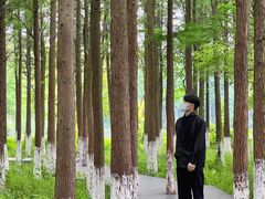 -艾溪湖湿地公园