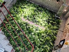 -腾爱熊猫咖啡生活馆(老东门店)