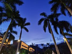 -柏悦酒店-沁园牛排海鲜西餐厅