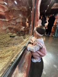 点击看大图 -Zoolung Zoolung动物主题公园(海信广场店)