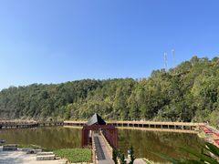 -神光山国家森林公园