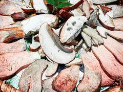 -蘑界·野生菌火锅(深业上城店)