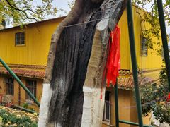 -宝通禅寺