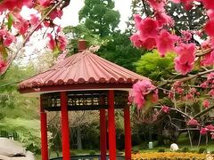 -庐山风景区花径公园