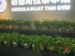 -花环泰拳·勒德斯拉泰拳馆(静安店)