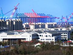-上海长兴岛郊野公园