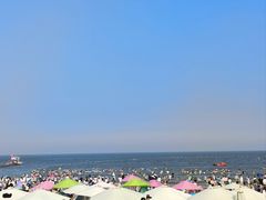 -日照海滨国家森林公园