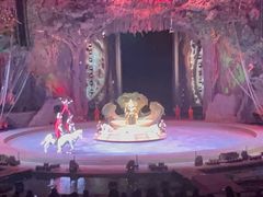 -广州长隆国际大马戏