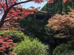-中国茶叶博物馆(双峰馆区)