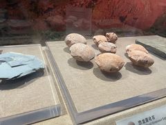 -烟台市博物馆