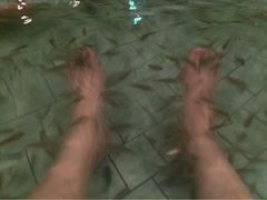 iphone_upload_pic-灵秀温泉