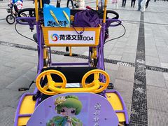 -曹州牡丹园