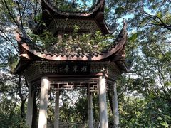 -岳麓山风景名胜区