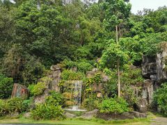 -广州神农草堂中医药博物馆