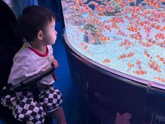 -海合安成都极地海洋公园