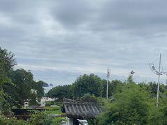 -慢丽江·云南野生菌土鸡锅(付家庄店)