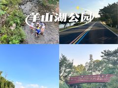 -羊山湖公园