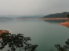 -广州市流溪河国家森林公园