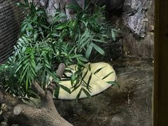 -上海大自然野生昆虫馆