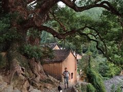 -杨家堂村