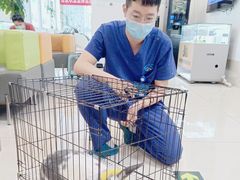 -北京观赏动物医院·24小时大型综合·猫专科·异宠专科