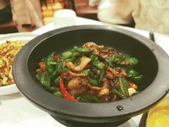 刘洋辣椒炒花猪肉-大鸭梨烤鸭(石佛营店)