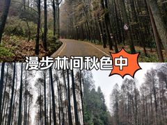 -山王坪喀斯特国家生态公园