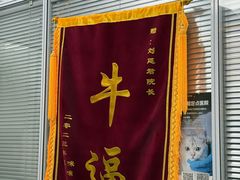 -美美宠物诊疗中心·异宠·骨科(滨江东信分院)