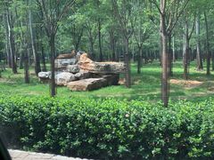 -秦皇岛野生动物园