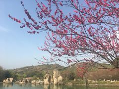 -白马涧龙池景区