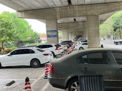 -紫金文化广场-停车场