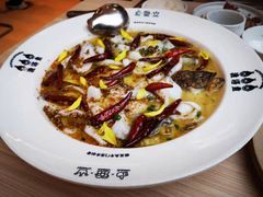 渔语鱼招牌酸菜鱼系列-渔语鱼酸菜鱼新川菜(万象城店)