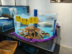 -大家发海鲜城夜排档(华山中路店)
